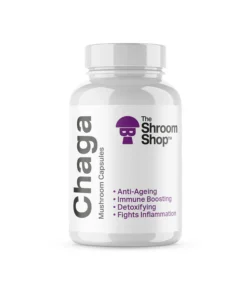 Chaga Mushroom Capsules