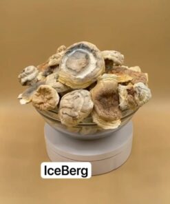 IceBerg Mushroom