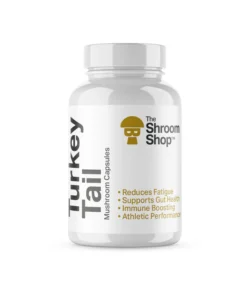 Turkey Tail Mushroom Capsules